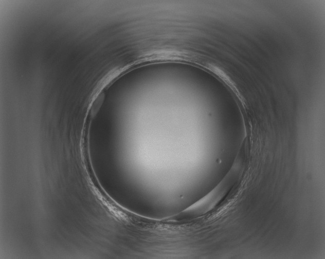 X0000054420901200507291246