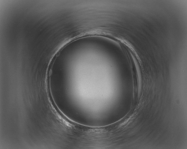 X0000054420902200507291246