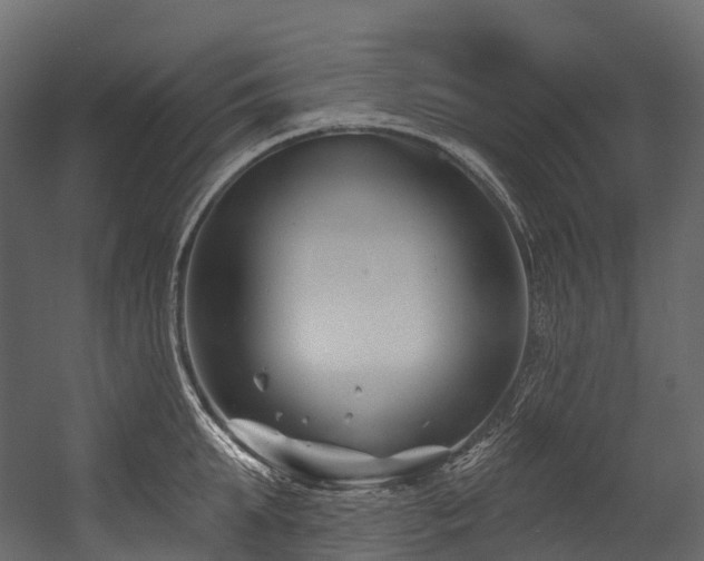 X0000054420903200507291246