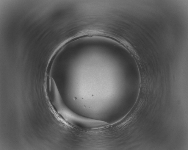 X0000054420904200507291246