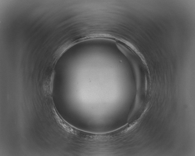 X0000054420905200507291246