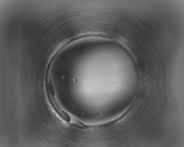 X0000054420906200507291246