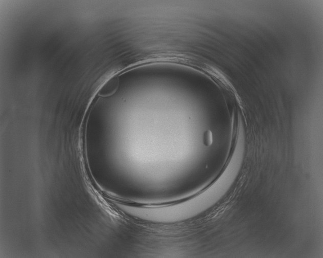 X0000054420907200507291246