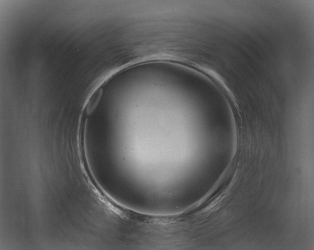 X0000054420910200507291246