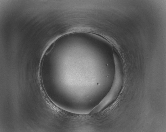 X0000054420912200507291246