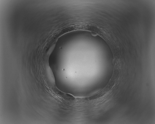 X0000054420913200507291245