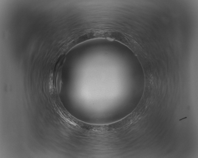 X0000054420914200507291245