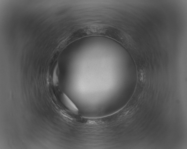 X0000054420915200507291245