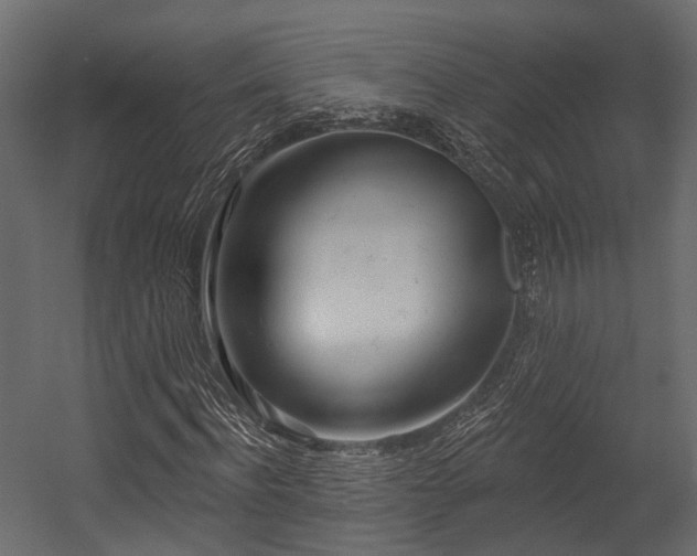 X0000054420916200507291245