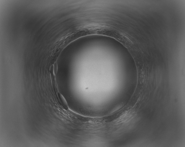 X0000054420917200507291245