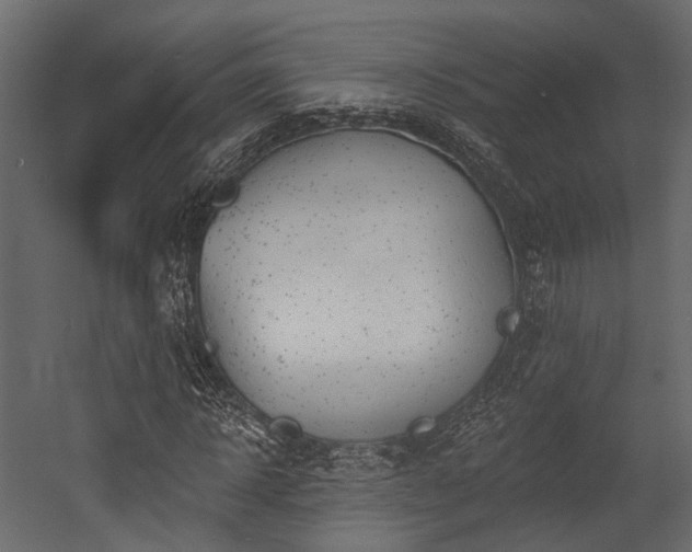 X0000054420918200507291245