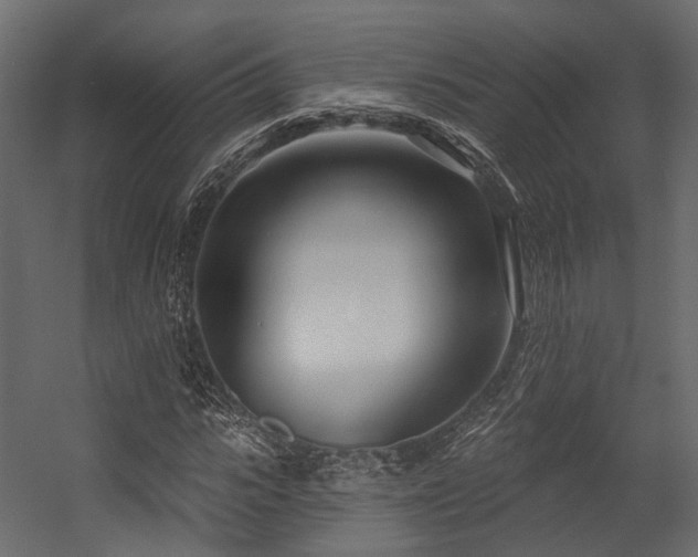 X0000054420919200507291245