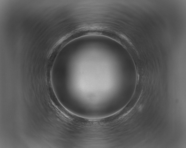 X0000054420922200507291245