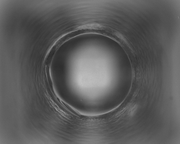 X0000054420923200507291245