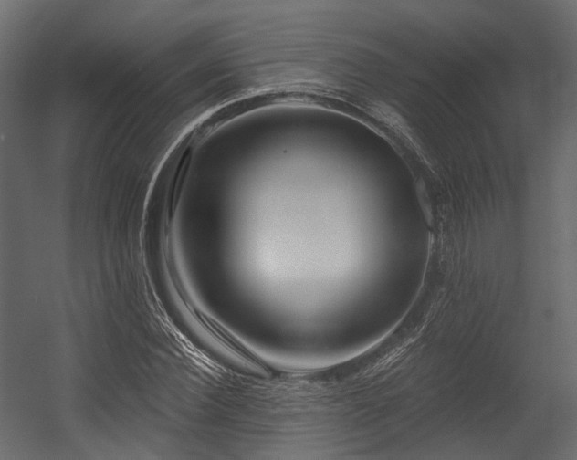 X0000054420924200507291245