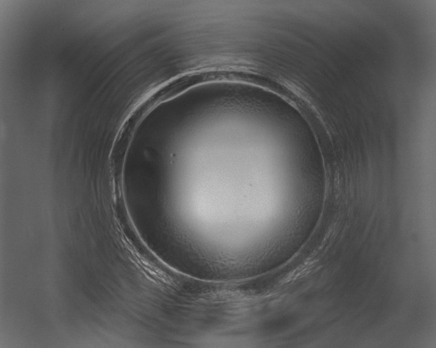 X0000054420925200507291245