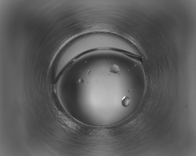 X0000054420926200507291245