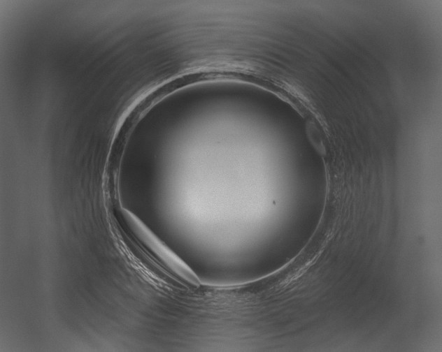 X0000054420928200507291245