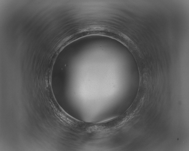 X0000054420929200507291245