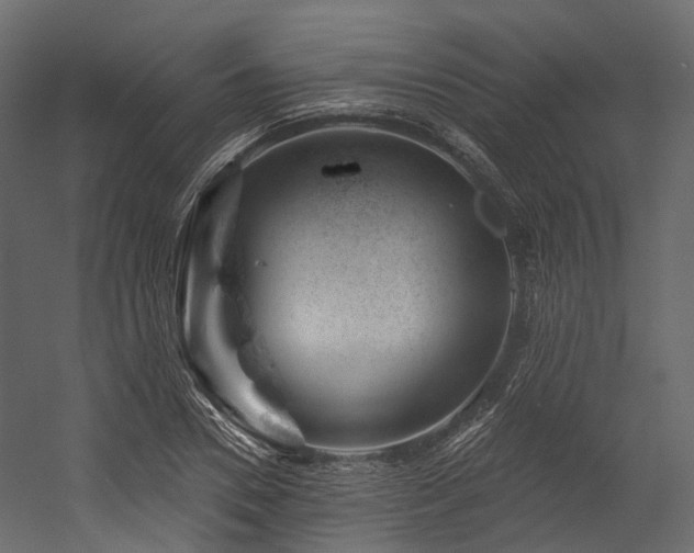 X0000054420930200507291245