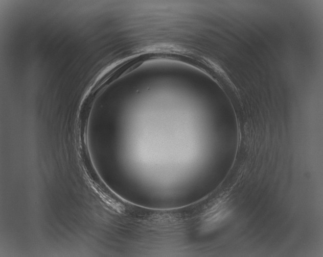 X0000054420931200507291245