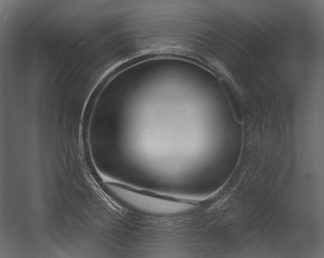 X0000054420932200507291245