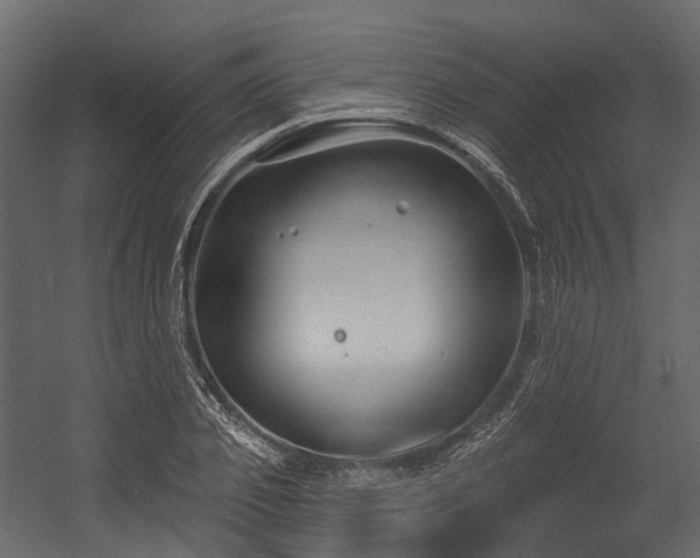 X0000054420933200507291245