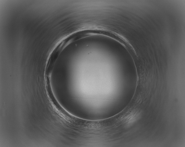 X0000054420935200507291245