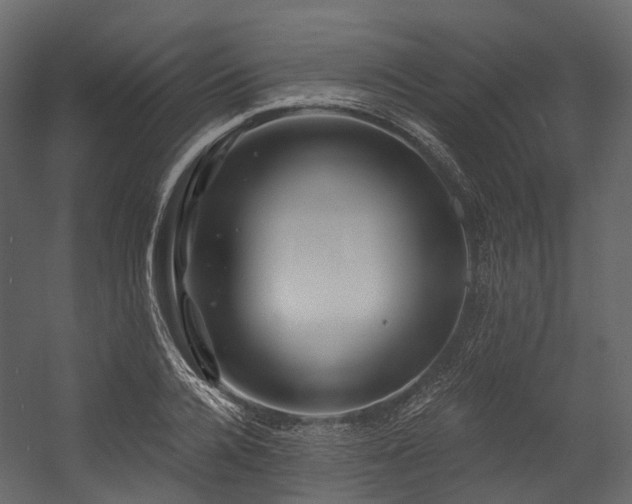 X0000054420936200507291245