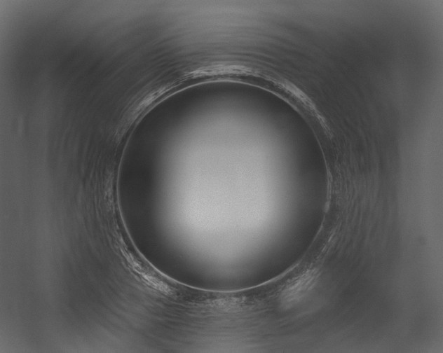 X0000054420937200507291245