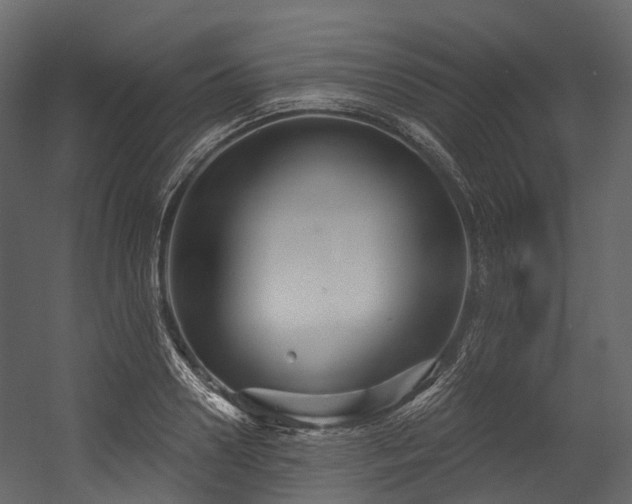 X0000054420938200507291245