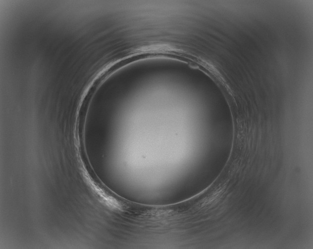 X0000054420939200507291245