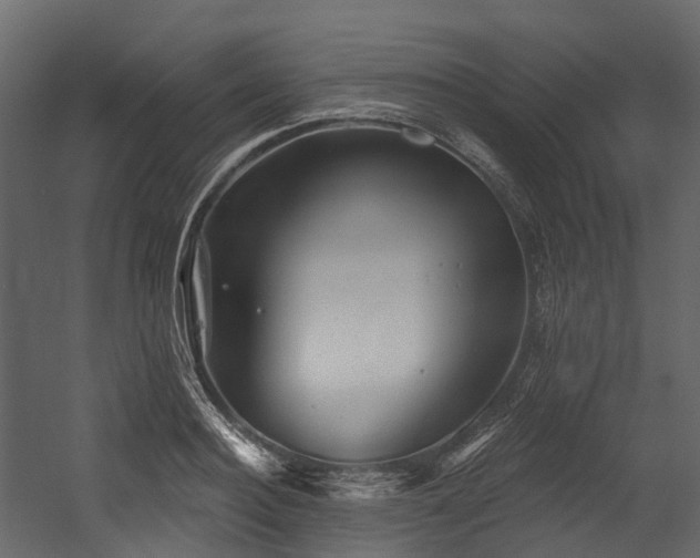 X0000054420940200507291245