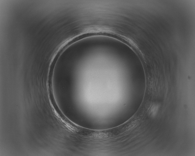 X0000054420943200507291245