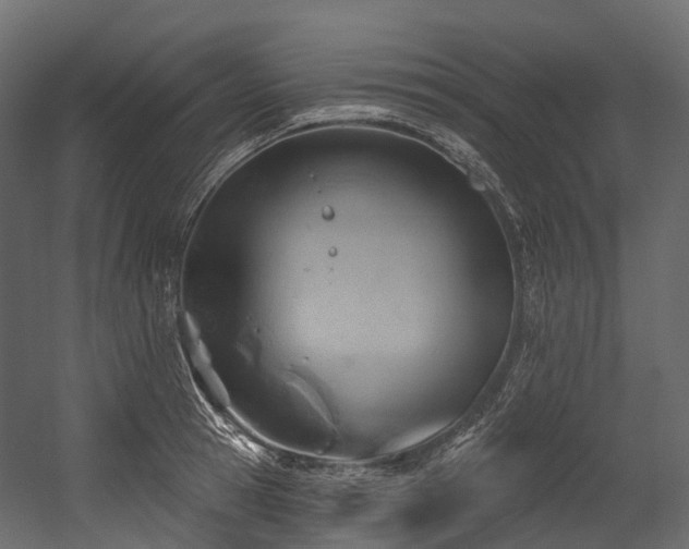 X0000054420945200507291245