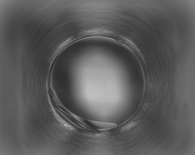 X0000054420946200507291245