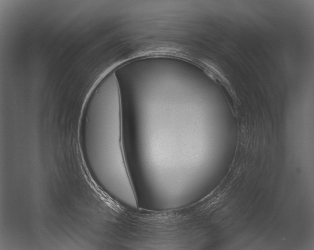 X0000054420948200507291245