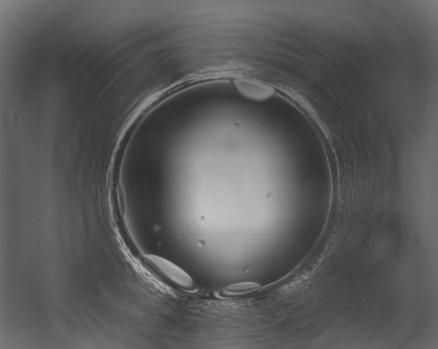 X0000054420949200507291245