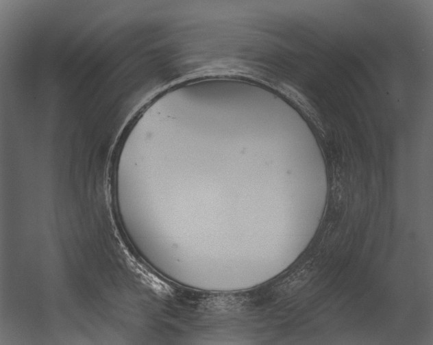 X0000054420950200507291245