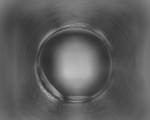 X0000054420952200507291245