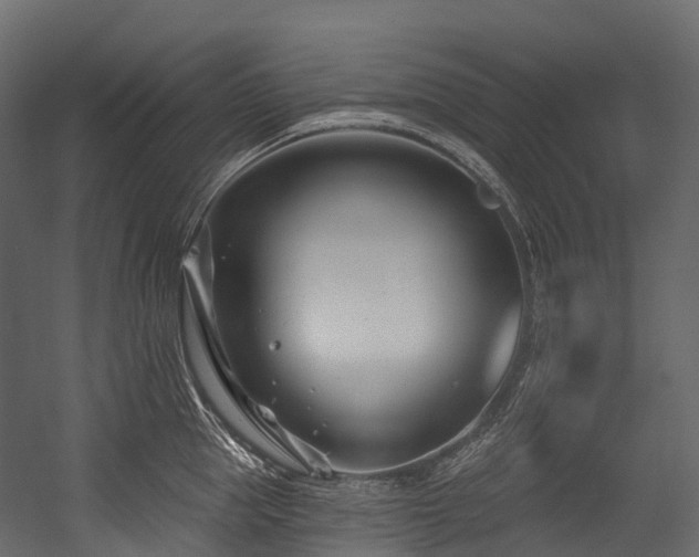 X0000054420953200507291245