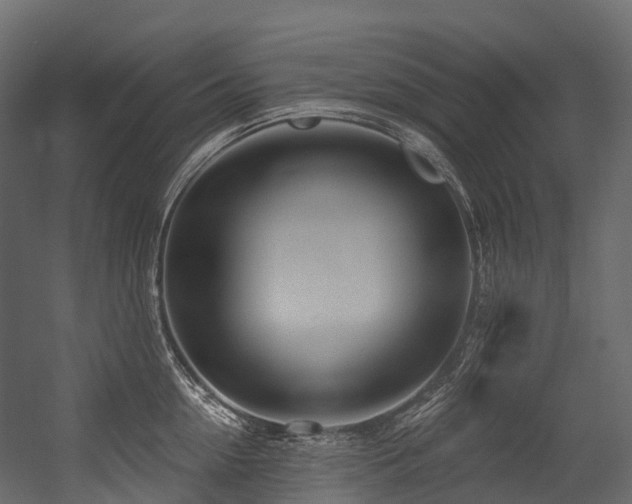 X0000054420954200507291245