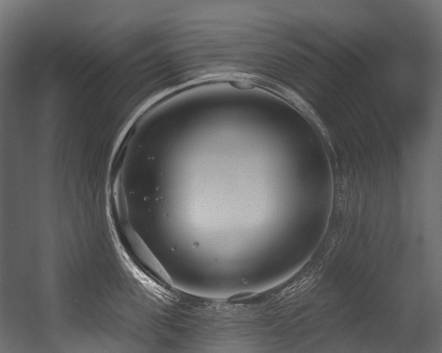 X0000054420955200507291245