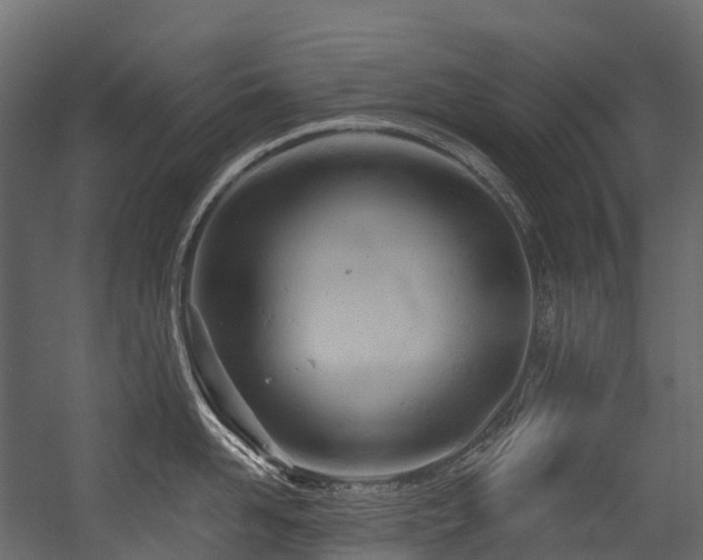 X0000054420958200507291246