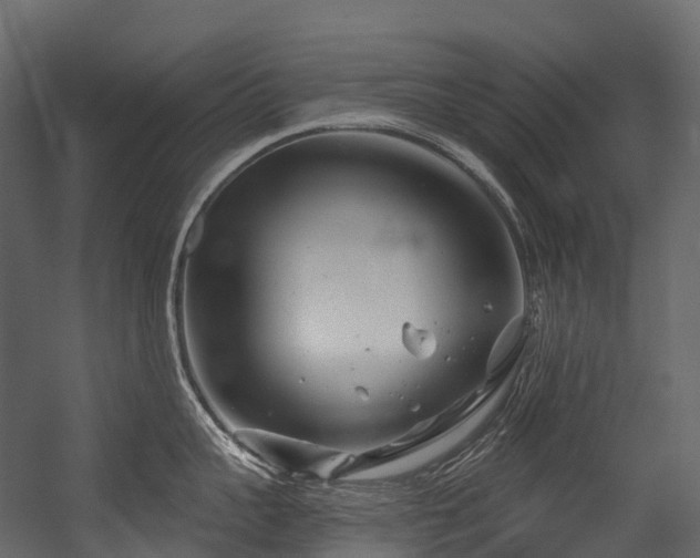 X0000054420959200507291246