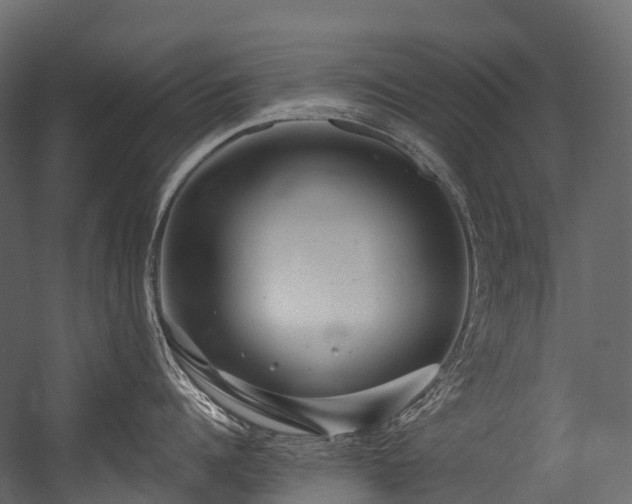 X0000054420960200507291246