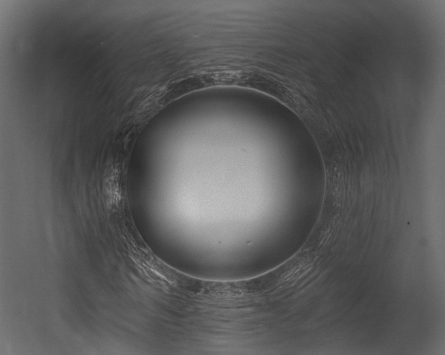 X0000054420962200507291245