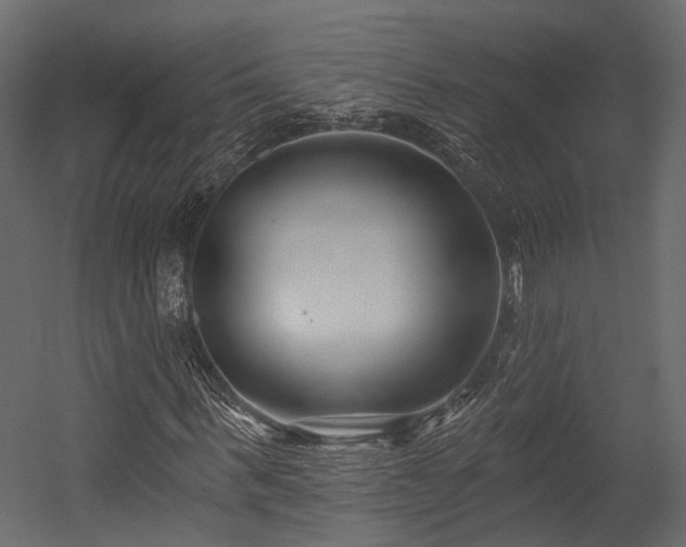 X0000054420963200507291245