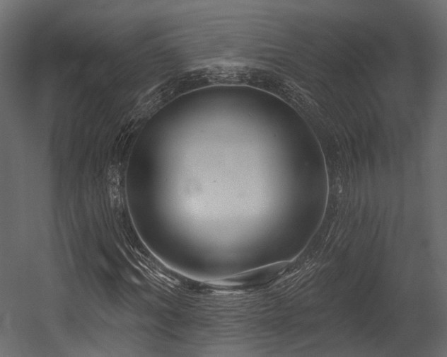 X0000054420964200507291245