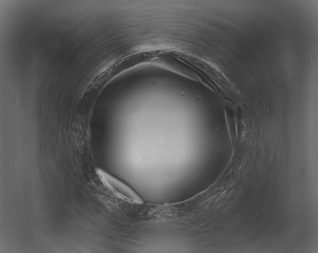 X0000054420967200507291245